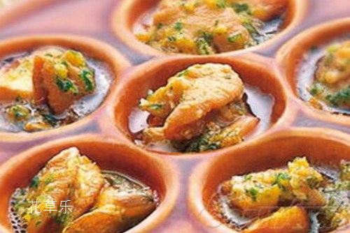 药用和食用价值超高的蜗牛 是益虫还是害虫?